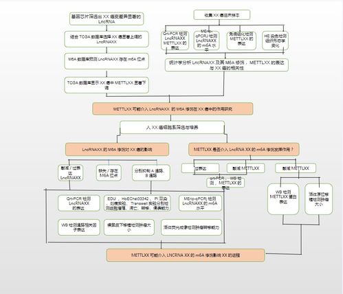23個可編輯技術路線圖模板與繪制技巧: 涵蓋國自然9大熱點技術路線及貨物技術進出口業(yè)務指導