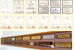 借力中國蔬菜品牌大會(huì)，云南蔬菜品牌與企業(yè)以大數(shù)據(jù)服務(wù)驅(qū)動(dòng)產(chǎn)業(yè)升級(jí)